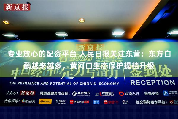 专业放心的配资平台 人民日报关注东营：东方白鹳越来越多，黄河口生态保护提档升级