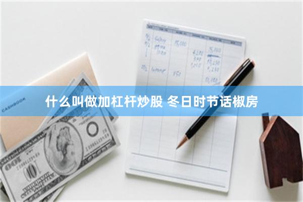 什么叫做加杠杆炒股 冬日时节话椒房