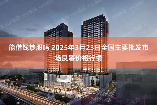 能借钱炒股吗 2025年3月23日全国主要批发市场良薯价格行情