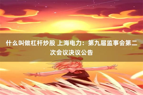 什么叫做杠杆炒股 上海电力：第九届监事会第二次会议决议公告