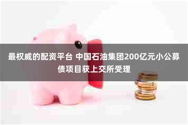 最权威的配资平台 中国石油集团200亿元小公募债项目获上交所受理