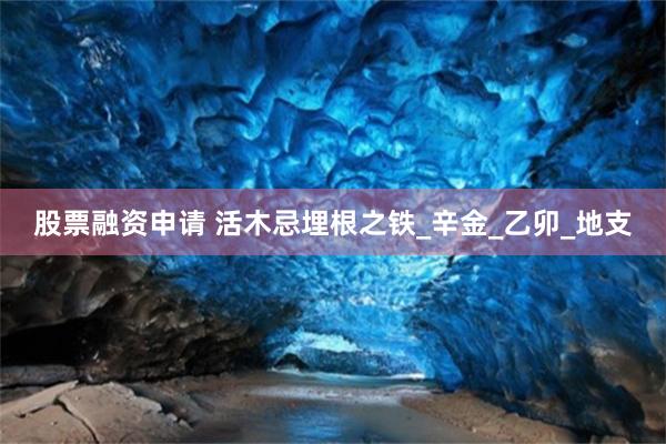 股票融资申请 活木忌埋根之铁_辛金_乙卯_地支