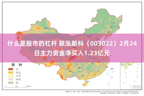 什么是股市的杠杆 联泓新科（003022）2月24日主力资金净买入1.23亿元