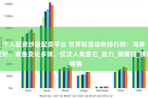 个人配资炒股配资平台 世界聪慧动物排行榜：海豚友好，章鱼变化多端，仅次人类是它_能力_黑猩猩_狒狒