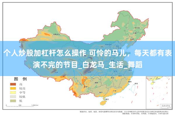 个人炒股加杠杆怎么操作 可怜的马儿，每天都有表演不完的节目_白龙马_生活_舞蹈