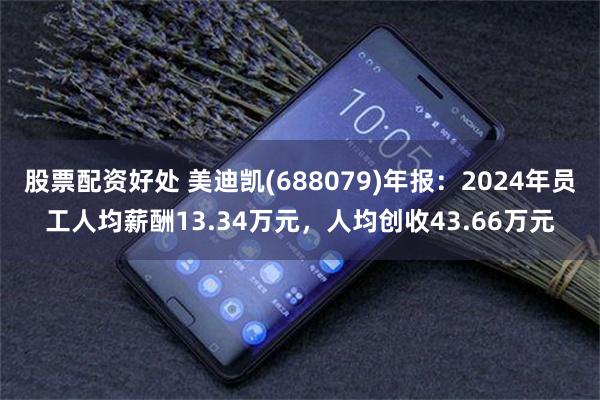 股票配资好处 美迪凯(688079)年报：2024年员工人均薪酬13.34万元，人均创收43.66万元