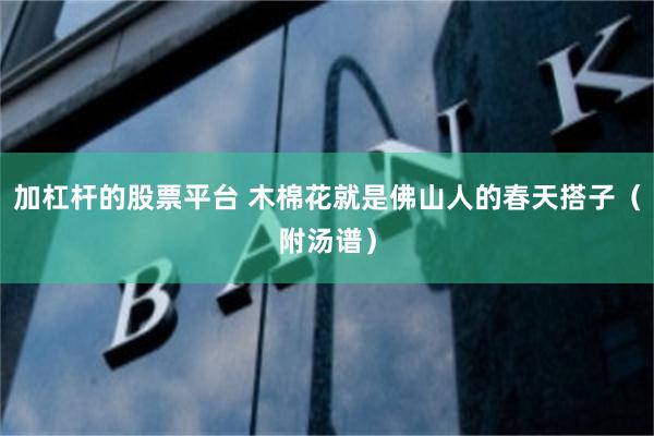 加杠杆的股票平台 木棉花就是佛山人的春天搭子（附汤谱）