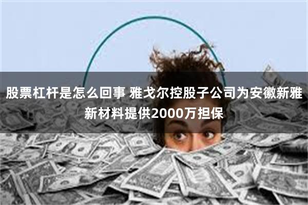 股票杠杆是怎么回事 雅戈尔控股子公司为安徽新雅新材料提供2000万担保