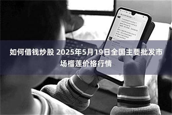 如何借钱炒股 2025年5月19日全国主要批发市场榴莲价格行情