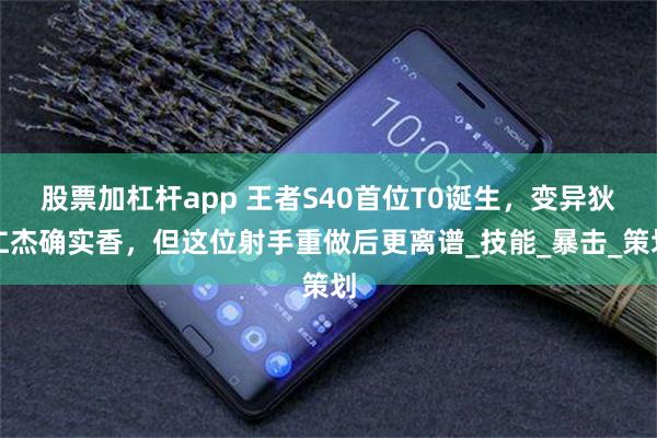 股票加杠杆app 王者S40首位T0诞生，变异狄仁杰确实香，但这位射手重做后更离谱_技能_暴击_策划