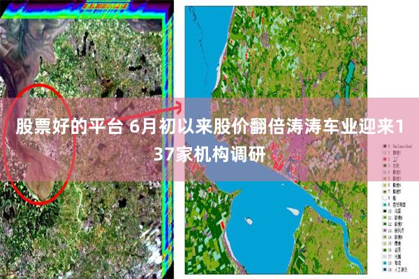 股票好的平台 6月初以来股价翻倍涛涛车业迎来137家机构调研
