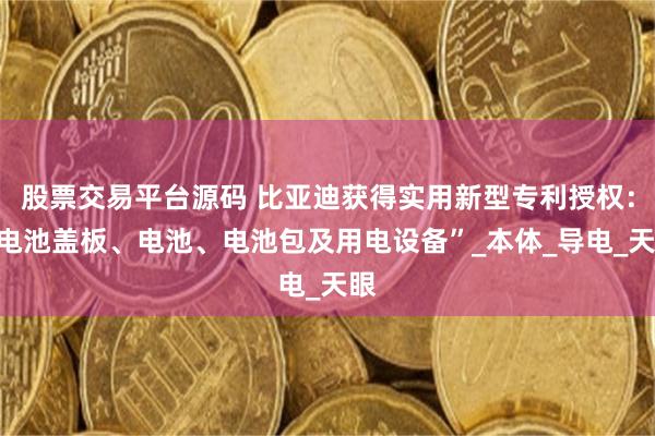 股票交易平台源码 比亚迪获得实用新型专利授权：“电池盖板、电池、电池包及用电设备”_本体_导电_天眼
