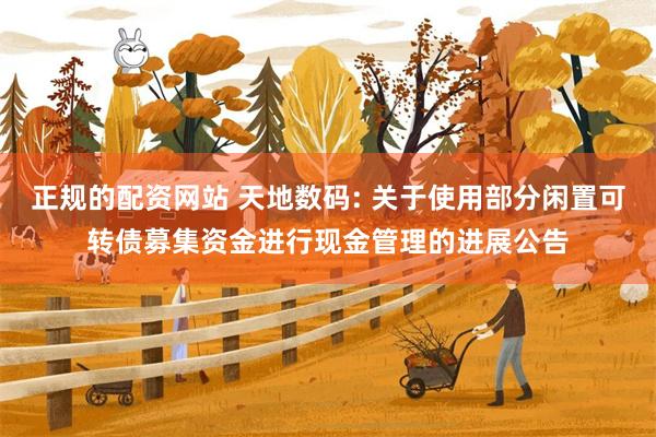 正规的配资网站 天地数码: 关于使用部分闲置可转债募集资金进行现金管理的进展公告