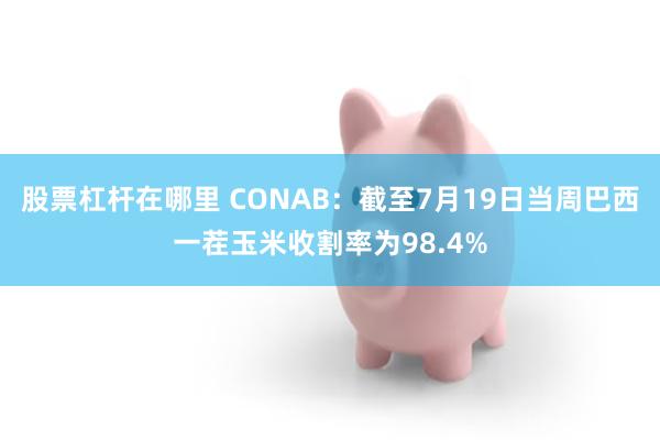 股票杠杆在哪里 CONAB：截至7月19日当周巴西一茬玉米收割率为98.4%