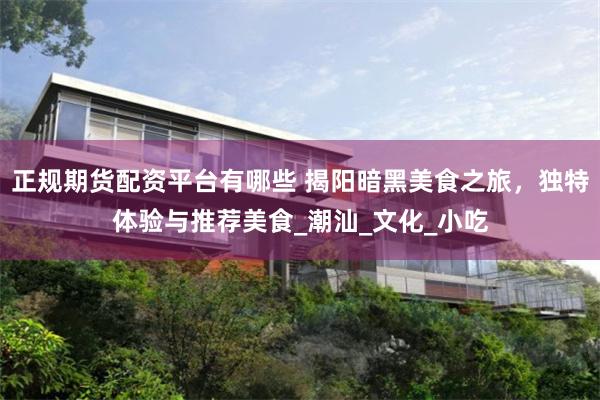 正规期货配资平台有哪些 揭阳暗黑美食之旅,独特体验与推荐美食_潮汕_文化_小吃