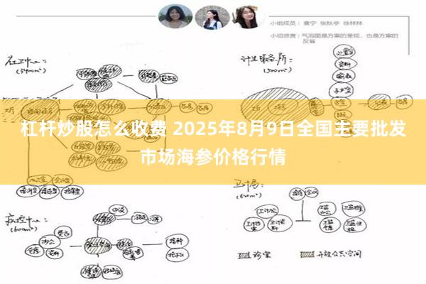 杠杆炒股怎么收费 2025年8月9日全国主要批发市场海参价格行情