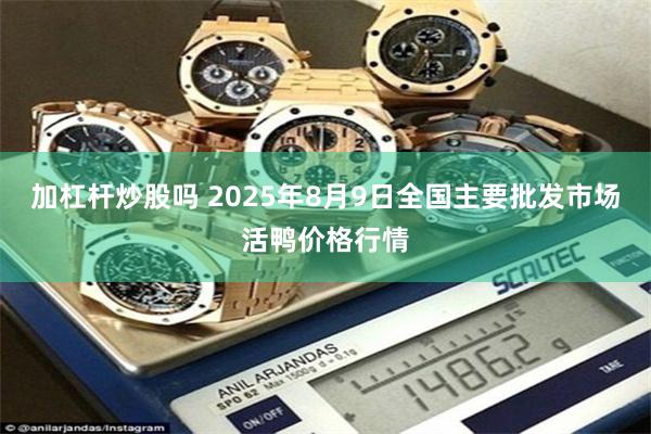 加杠杆炒股吗 2025年8月9日全国主要批发市场活鸭价格行情