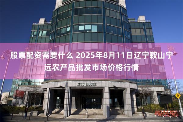 股票配资需要什么 2025年8月11日辽宁鞍山宁远农产品批发市场价格行情