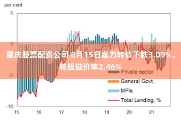 重庆股票配资公司 8月15日塞力转债下跌3.09%，转股溢价率2.46%