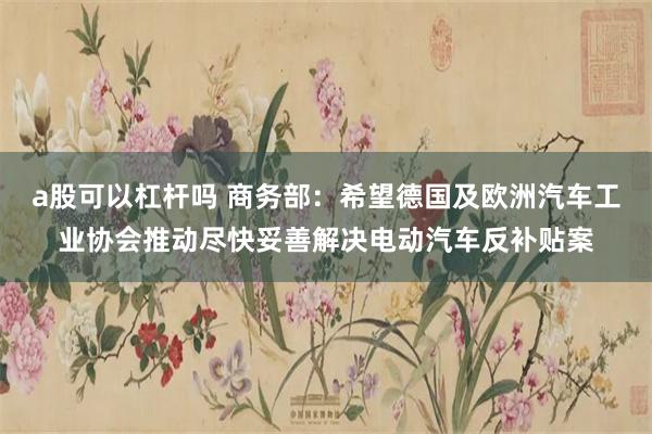 a股可以杠杆吗 商务部：希望德国及欧洲汽车工业协会推动尽快妥善解决电动汽车反补贴案